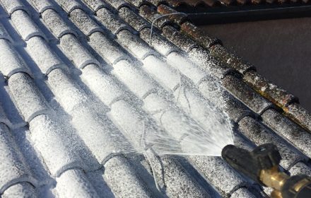 whatsapp image 2026 02 03 at 22.13.20 rj8z7dif7qdzmmi34edp6uzvpzgt6k3ynpht7vcgds