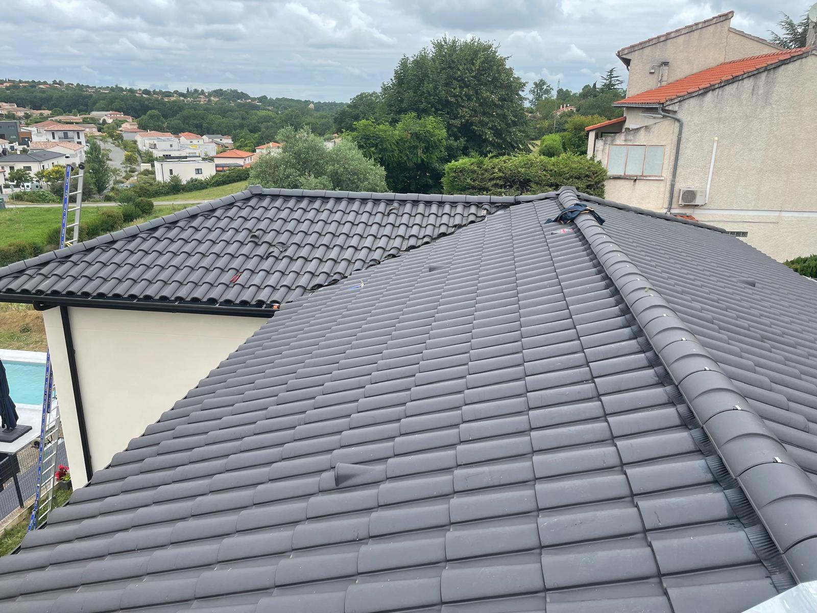 whatsapp image 2026 02 20 at 16.41.59 (1)